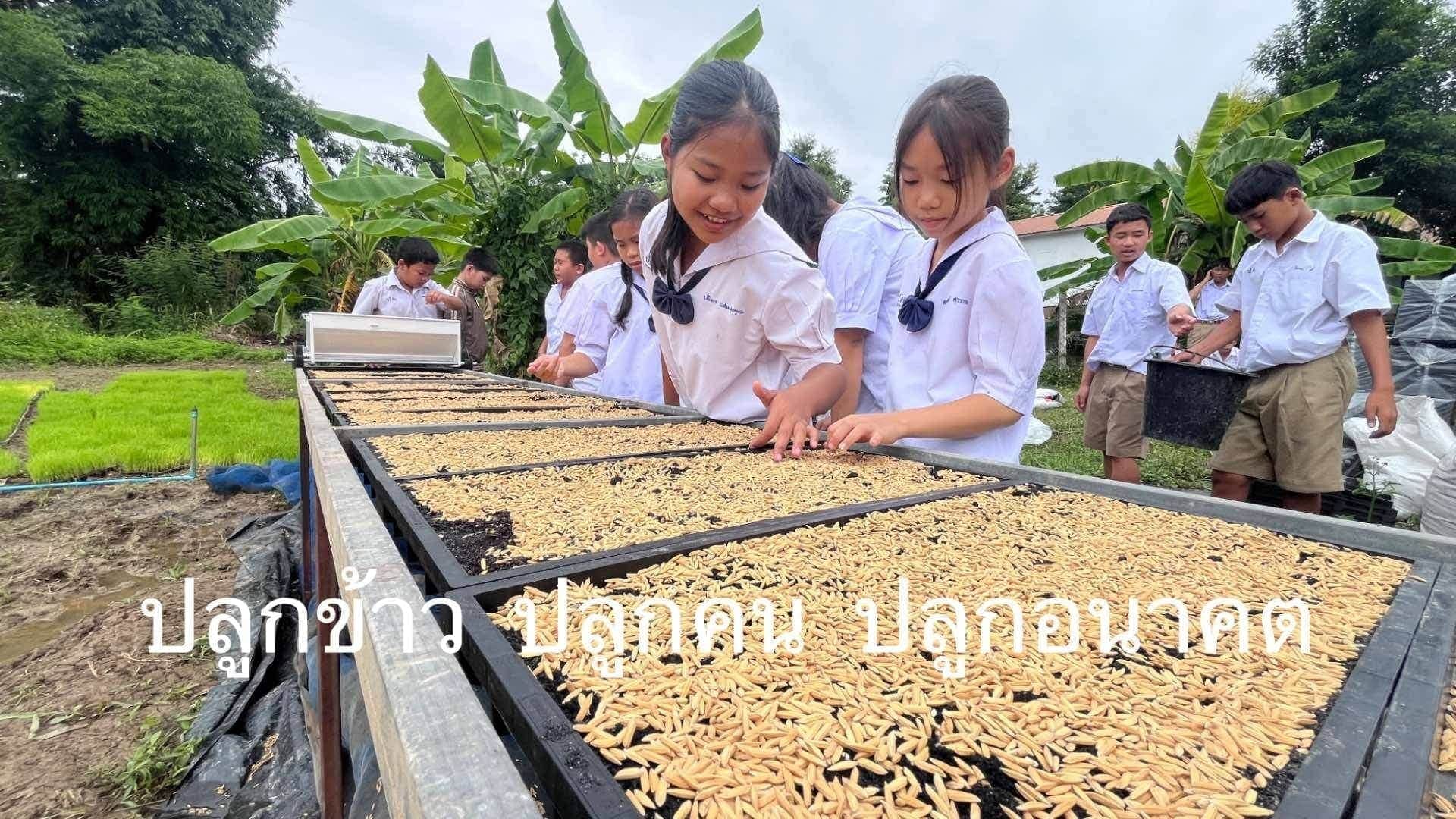 ปลูกข้าว ปลูกคน ปลูกอนาคต